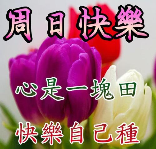 谢谢你的祝福2019