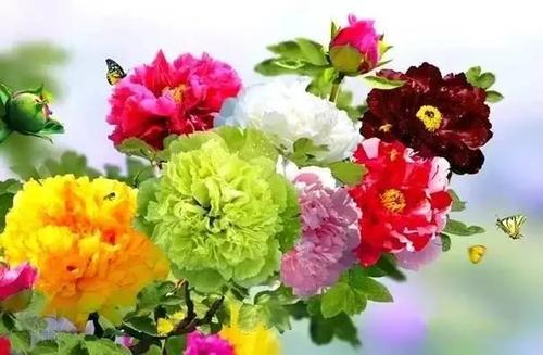 发送最真诚的祝福