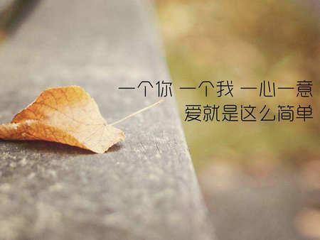 用图片感动的爱情句子1