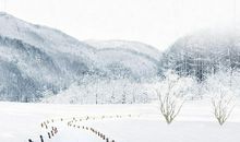 二十四节气谚语大寒