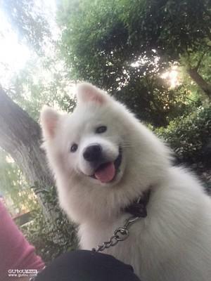 半夜醒来的微信在说