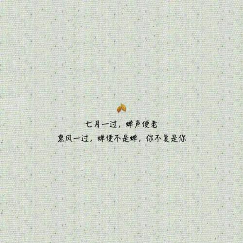 可以通过朋友圈看到的句子