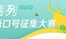 演讲比赛的口号大全