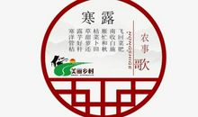 二十四节气谚语寒露