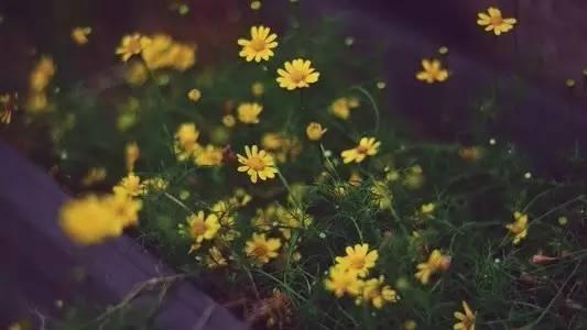 社会太复杂了,人民的心也太险恶了