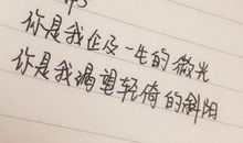 对青春描写的句子