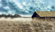 幸福感动的句子大全