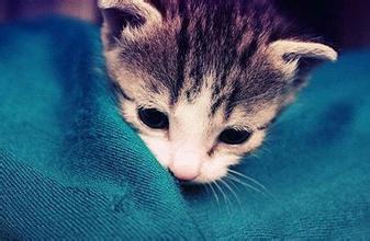 描述悲伤的句子和图片5