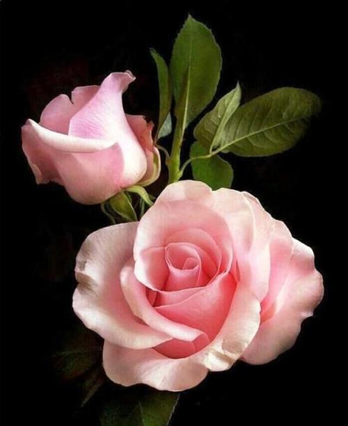 朋友们祝福最温暖的话