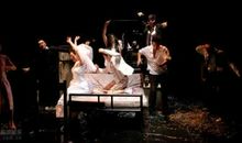 恋爱的犀牛台词