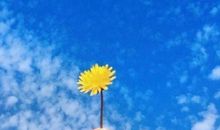 给朋友暖心的句子