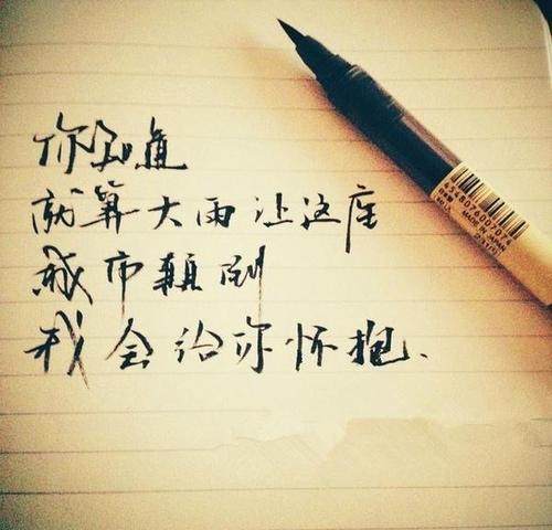 漂亮的句子描述拥抱