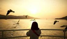 毕业抒情的句子