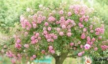 关心朋友的祝福短信