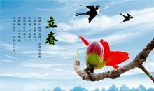 关于节气的谚语