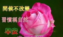 走心的早安祝福语