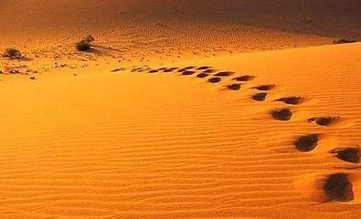 人生哲学一句话50字