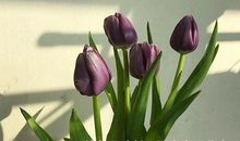 现实又很扎心的句子长