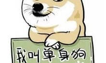 形容单身很好的句子