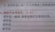 描写母亲外貌的好段