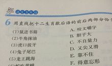 十二生肖歇后语狗