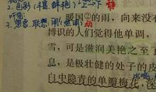 描写母爱的排比句子