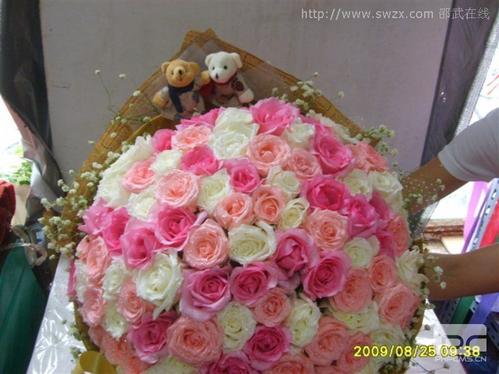 对女友的简短供词