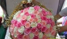 表白的句子给女朋友短