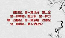 友谊珍惜的句子