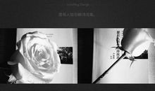 愿有人陪你颠沛流离经典句子