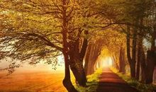 关于秋天比喻句