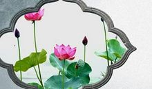 二十四节气谚语农村的