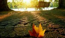 长大了就该懂得，人生没有寒暑假