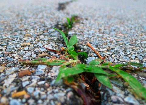 许多障碍是您成长和前进的动力