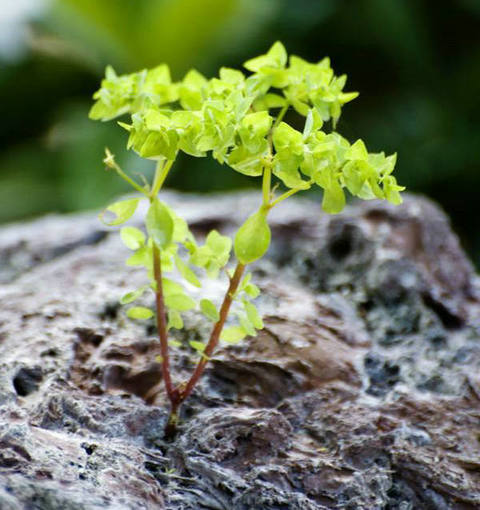 障碍是您成长和进步的动力1