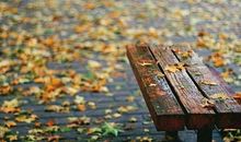 写秋雨的比喻句