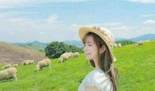 跟着自己内心的感觉走，或许会错，但至少不遗憾