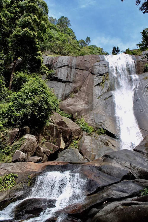 李茶姨妈的经典句