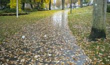 关于秋雨的唯美句子大全【精选18句】