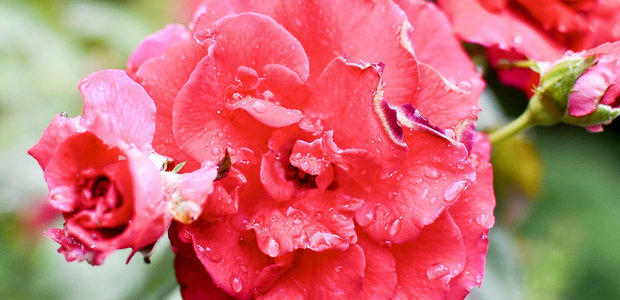 生活不会习惯你，如果你不想被抛弃，你必须为自己站起来