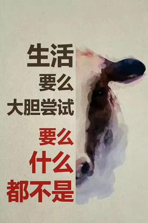 不要放弃这句话