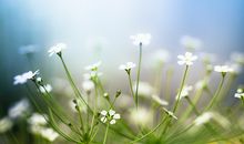 有关雷的拟人句