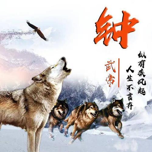 经典签名2019最新版本