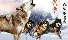 经典签名2019最新版