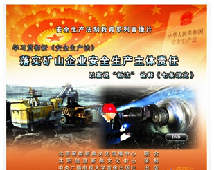 落实企业安全主要责任标语