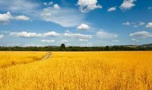 关于风景的谚语