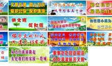 风采展示口号大全