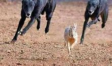 农村经典谚语大全