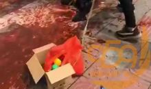 电线杆上绑鸡毛歇后语