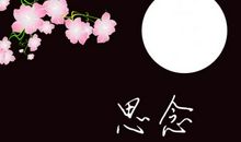 去世怀念的句子